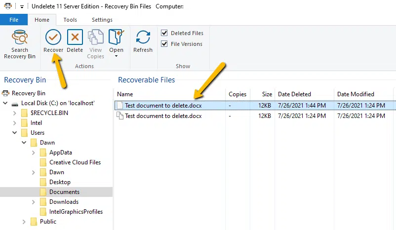 【电脑技术】文件、数据恢复 Condusiv Undelete 11 v10.0.400 Pro / Server  第2张